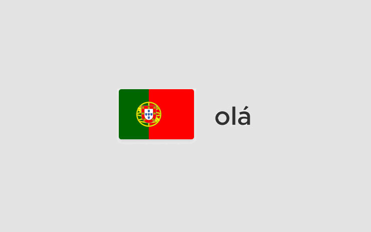 2022 Language Support